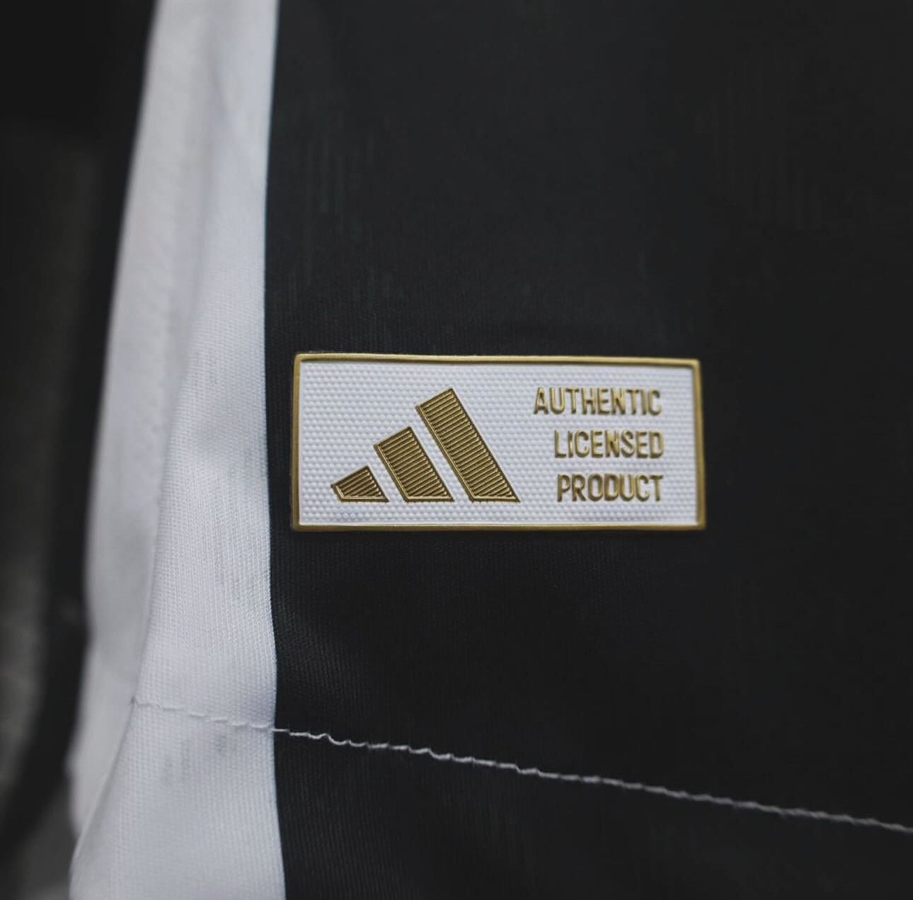 Juventus, Sezona 2024/2025, Domaći Dres