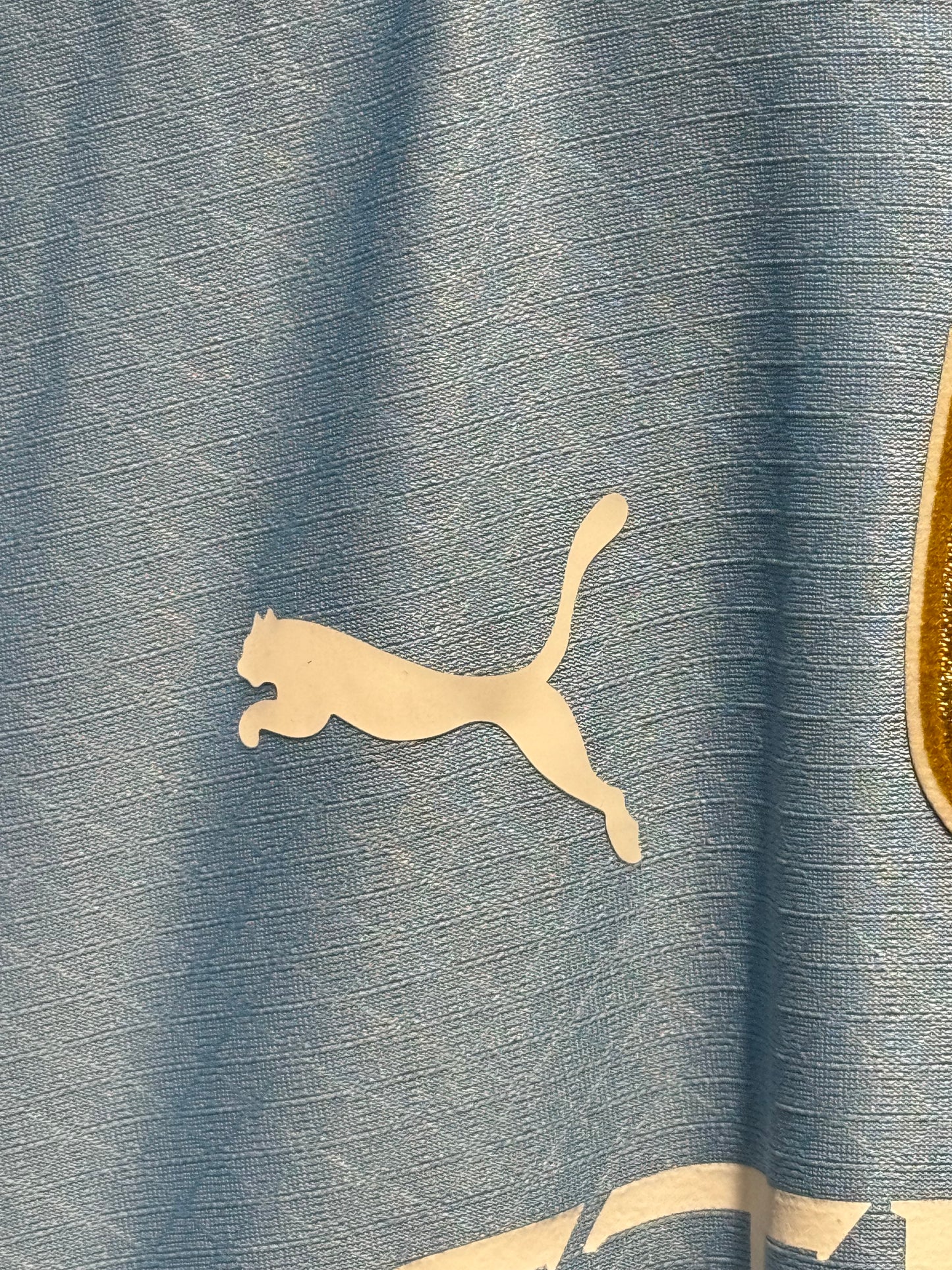 Manchester City, Sezona 2024/2025, Domaći Dres - Grealish 10