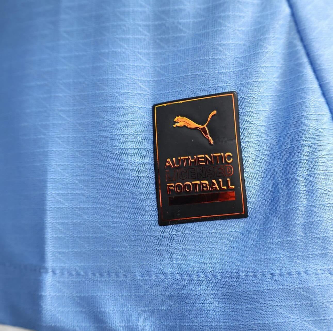 Manchester City, Sezona 2024/2025, Domaći Dres