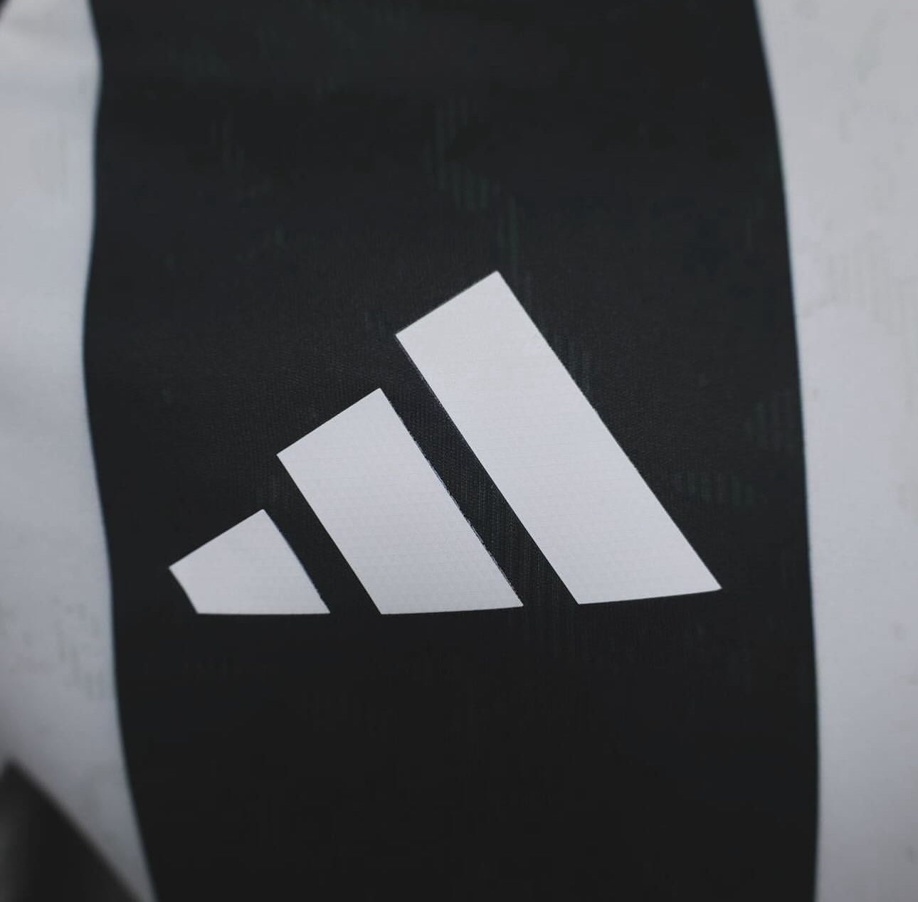 Juventus, Sezona 2024/2025, Domaći Dres
