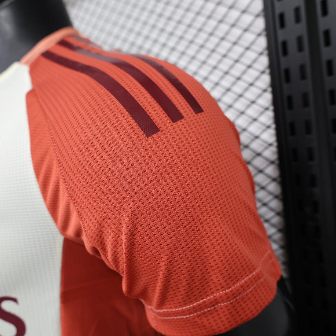 Lyon, Sezona 2024/2025, Treći Dres