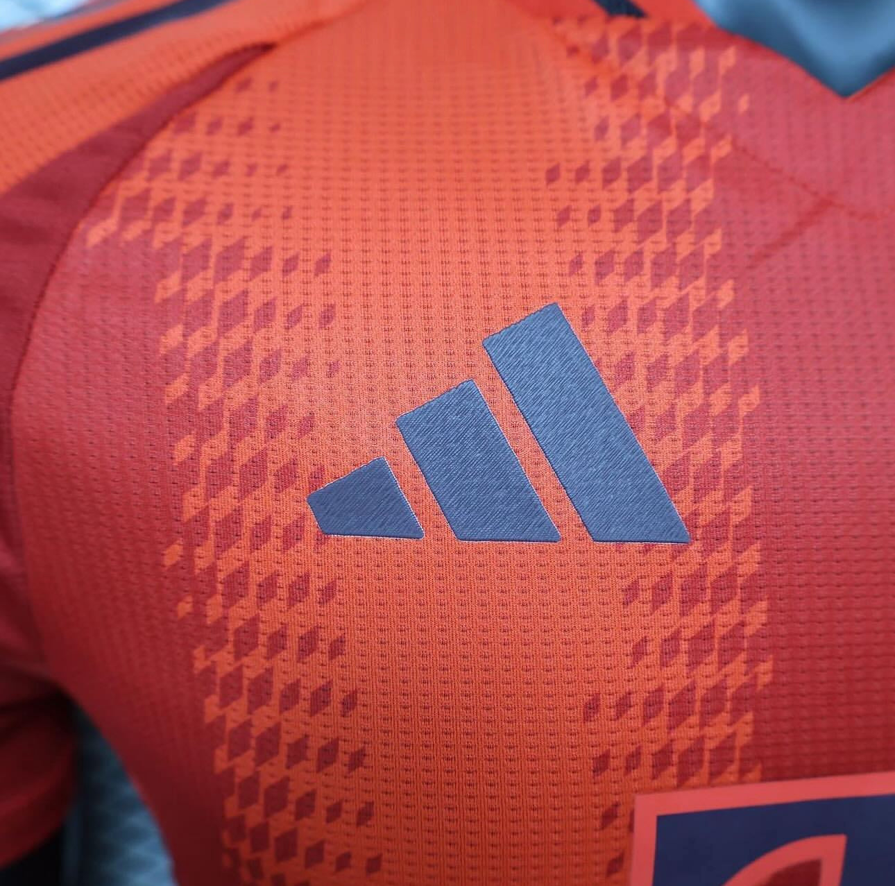 Bayern Münich, Sezona 2024/2025, Domaći Dres