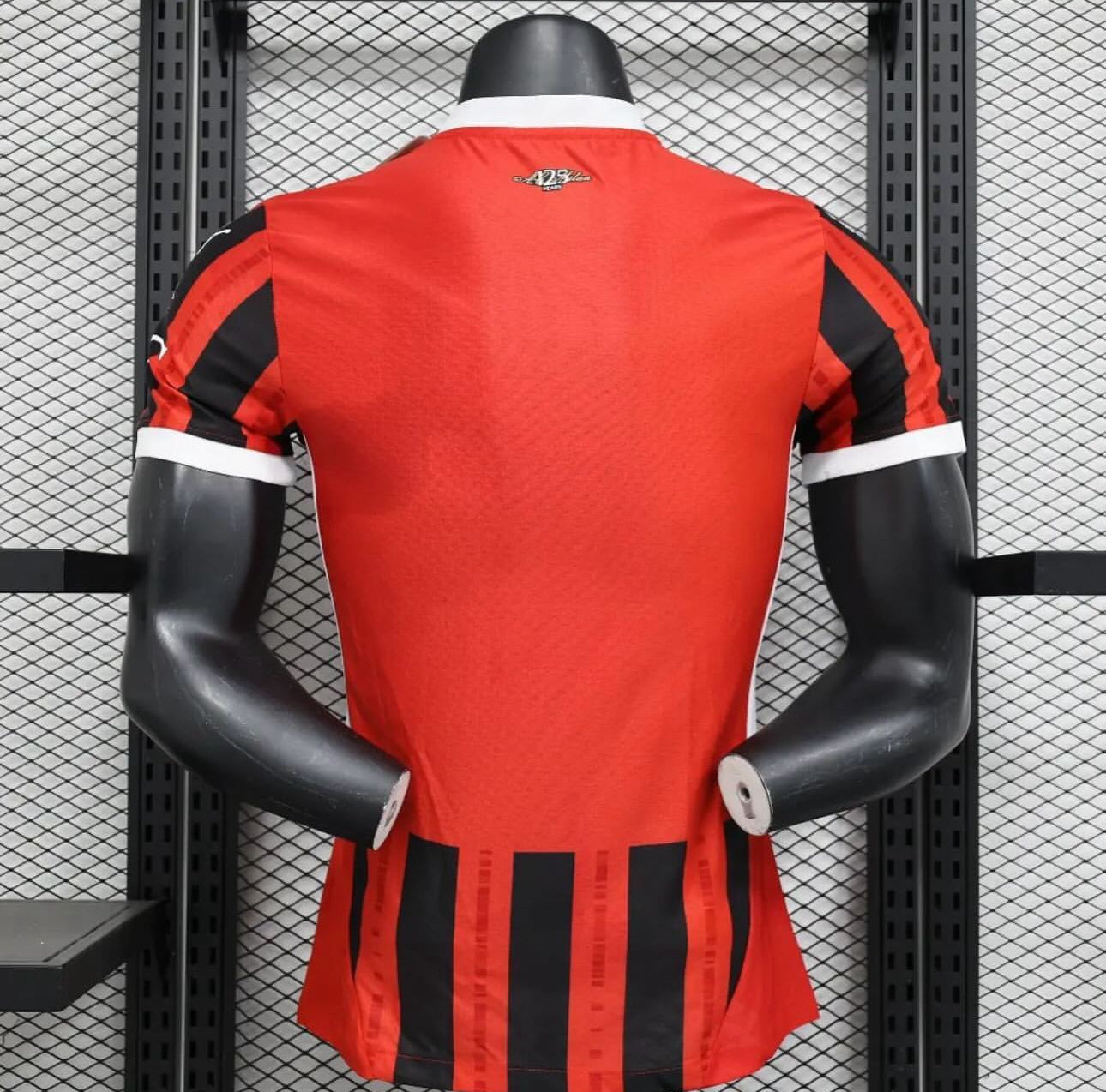 AC Milan, Sezona 2024/2025, Domaći Dres.