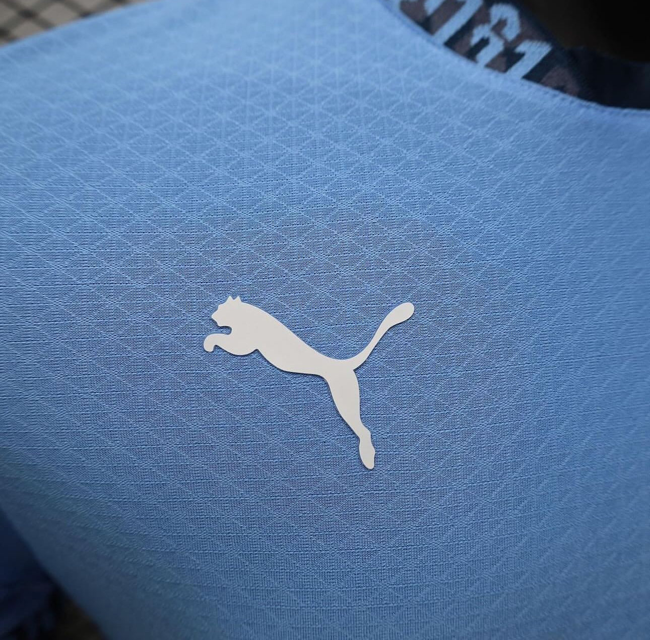 Manchester City, Sezona 2024/2025, Domaći Dres