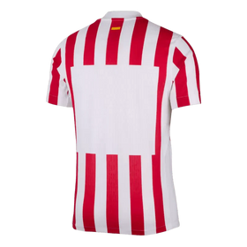 Atletico Madrid Home Custom Player Version Soccer Jersey 2025/26