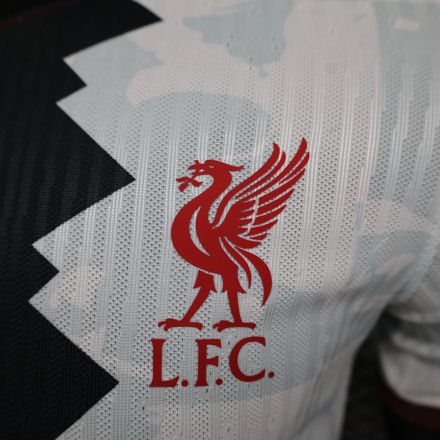 Liverpool, Season 2024/2025, Special Jersey