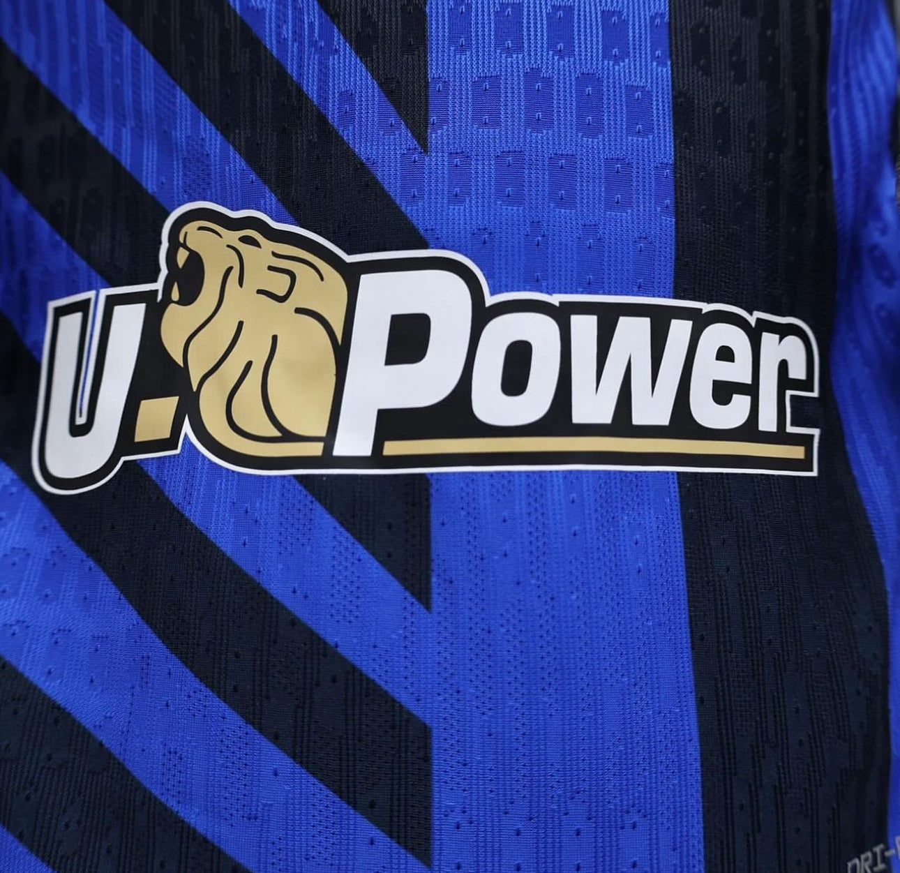 Inter Milan, Season 2024/2025, Home Jersey