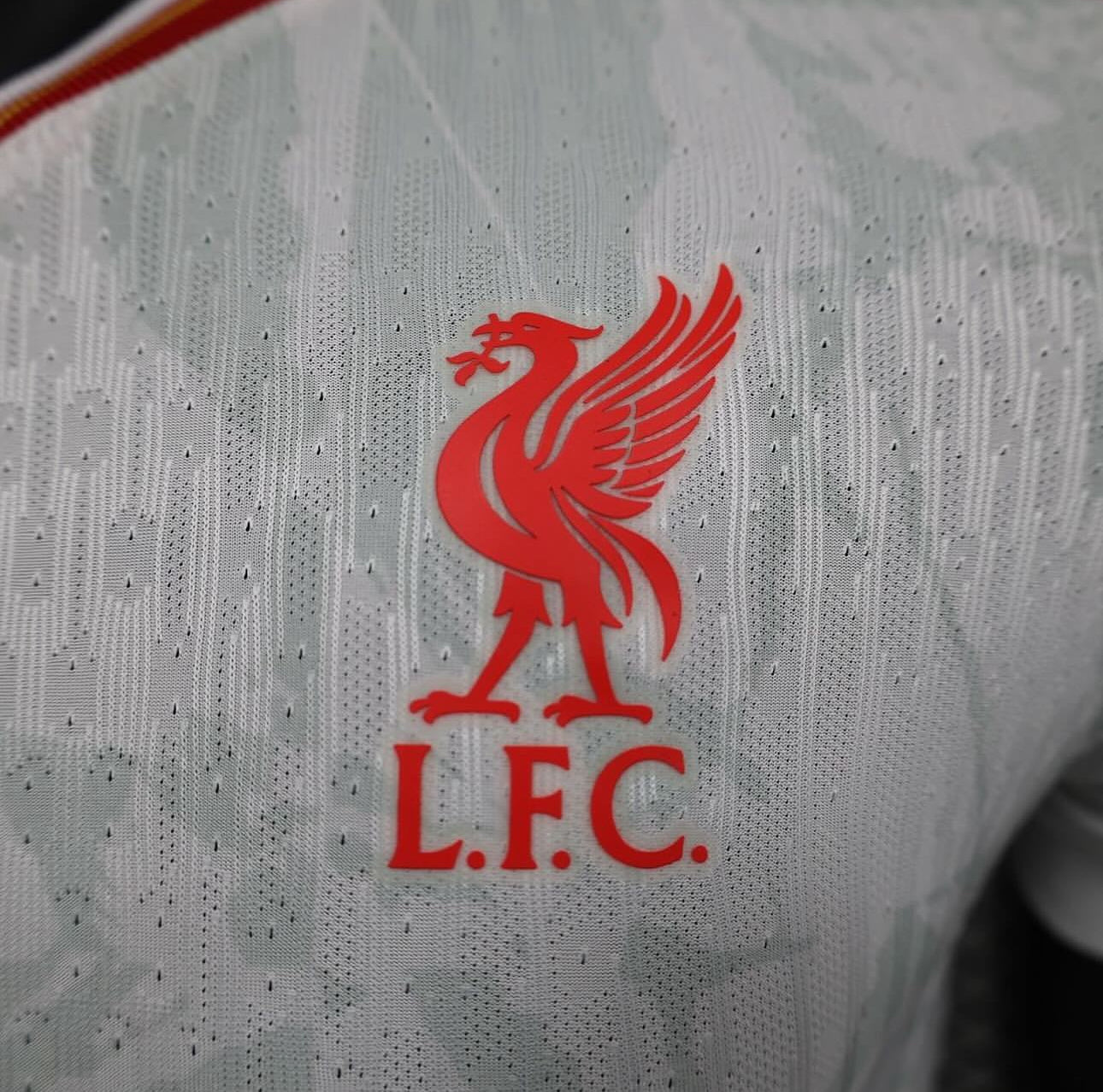 Liverpool, Season 2024/2025, Third Jersey