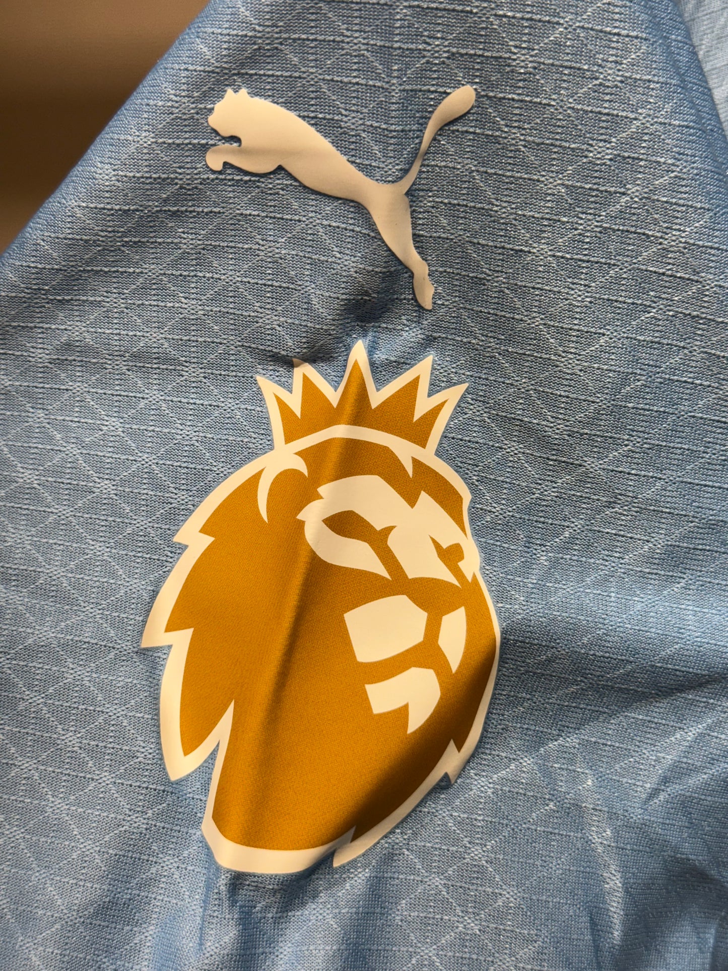 Manchester City, Sezona 2024/2025, Domaći Dres - Haaland 9