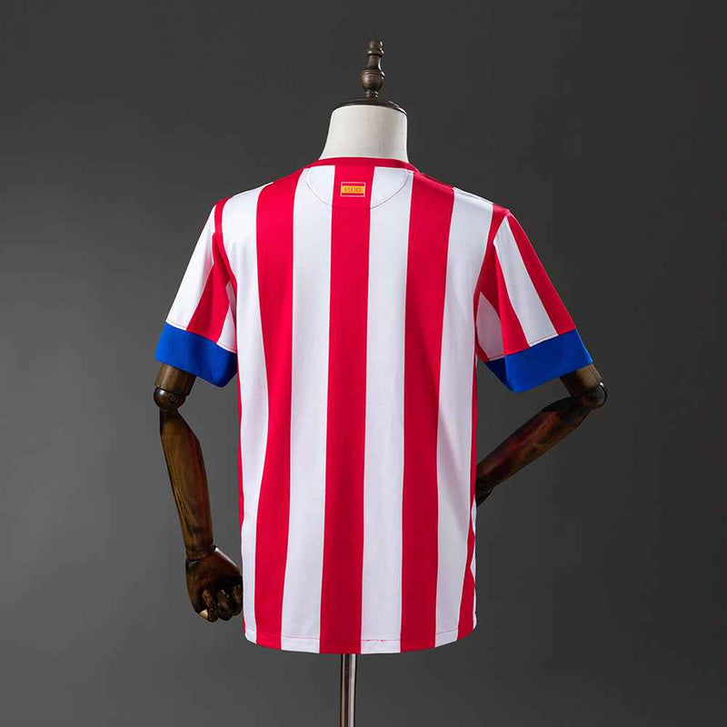 Atletico Madrid Domaći 2012/13