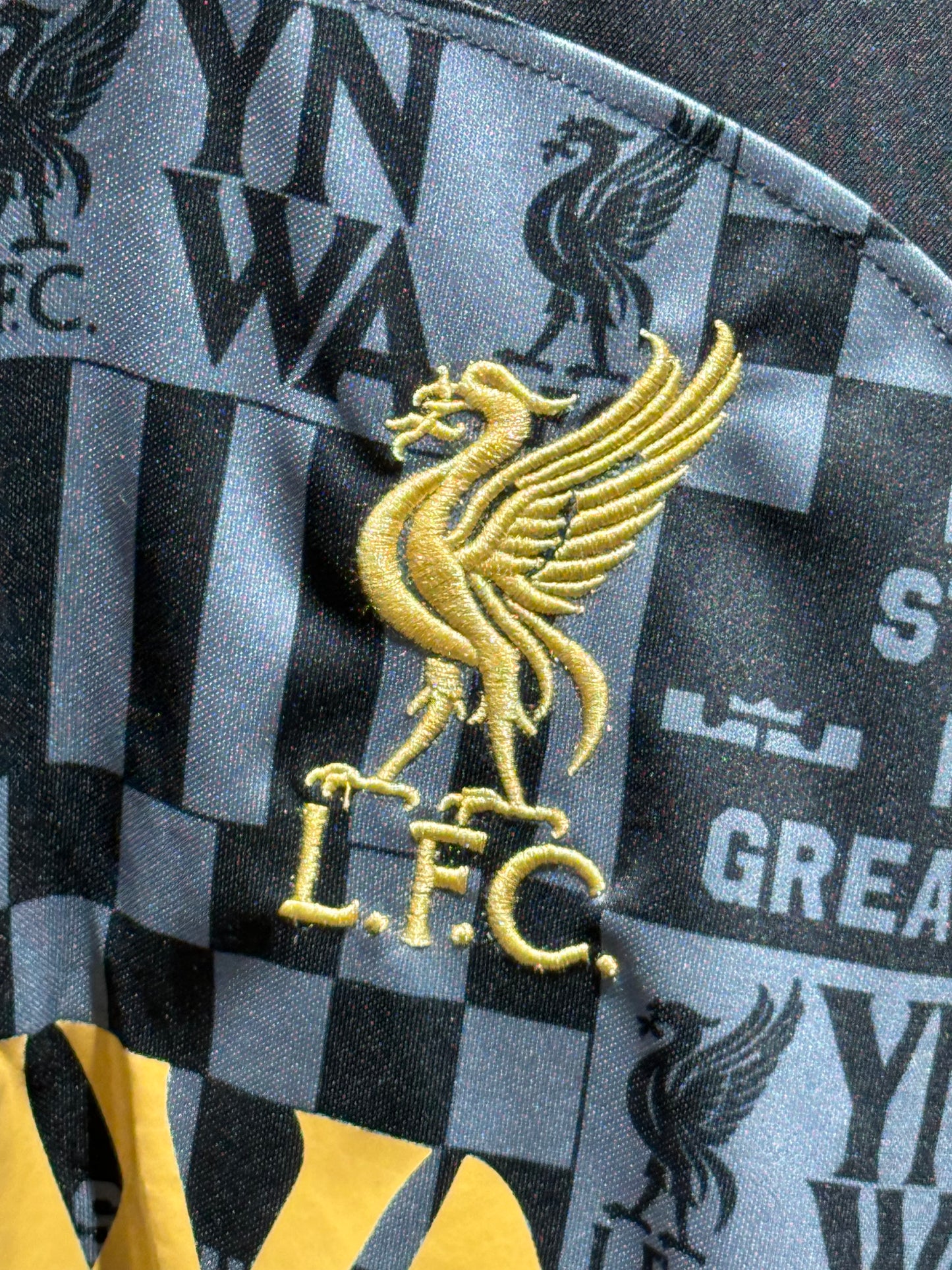 Liverpool x Lebron James Dres