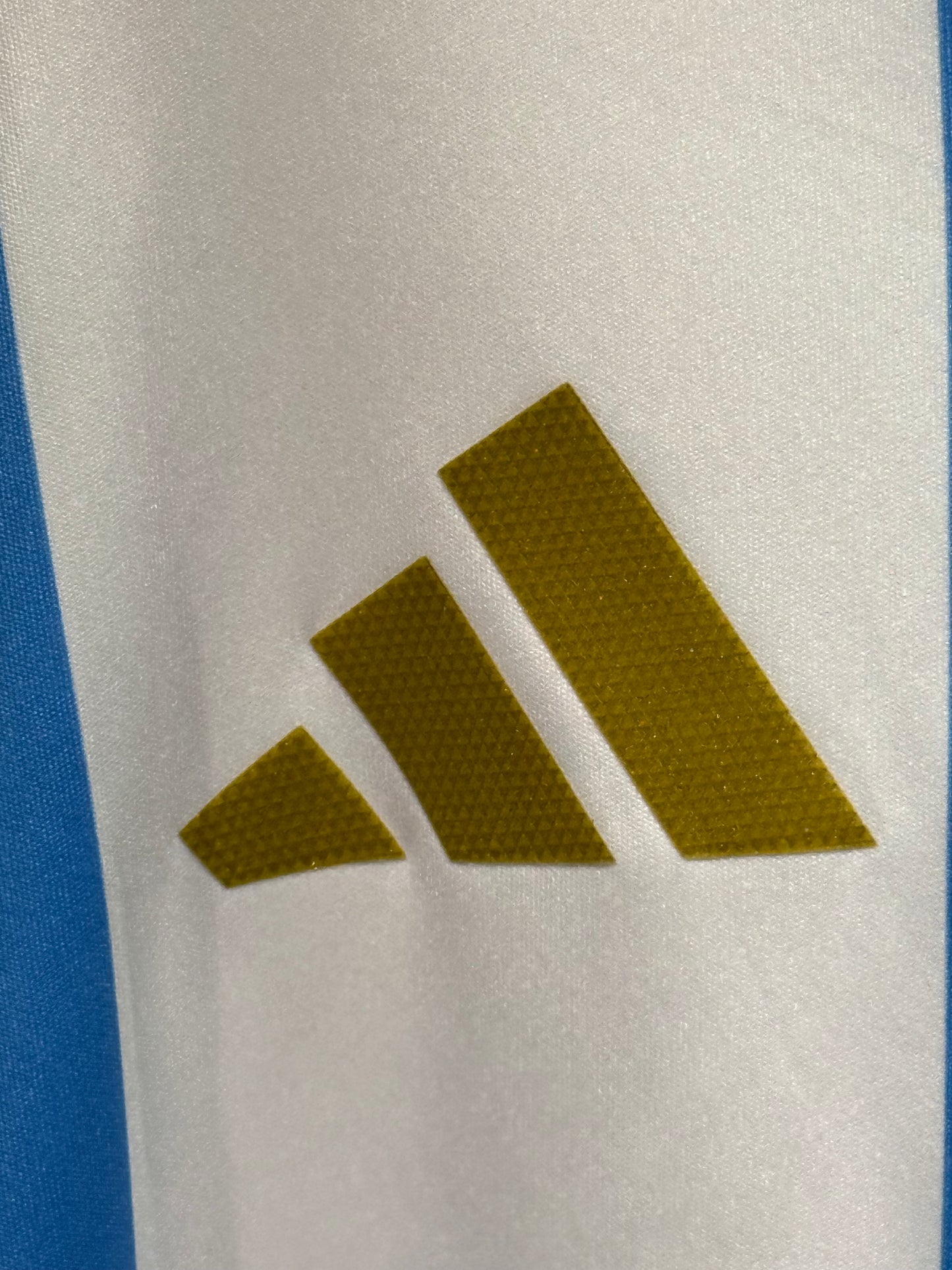 Argentina 2024 Domaći Dres - Messi 10