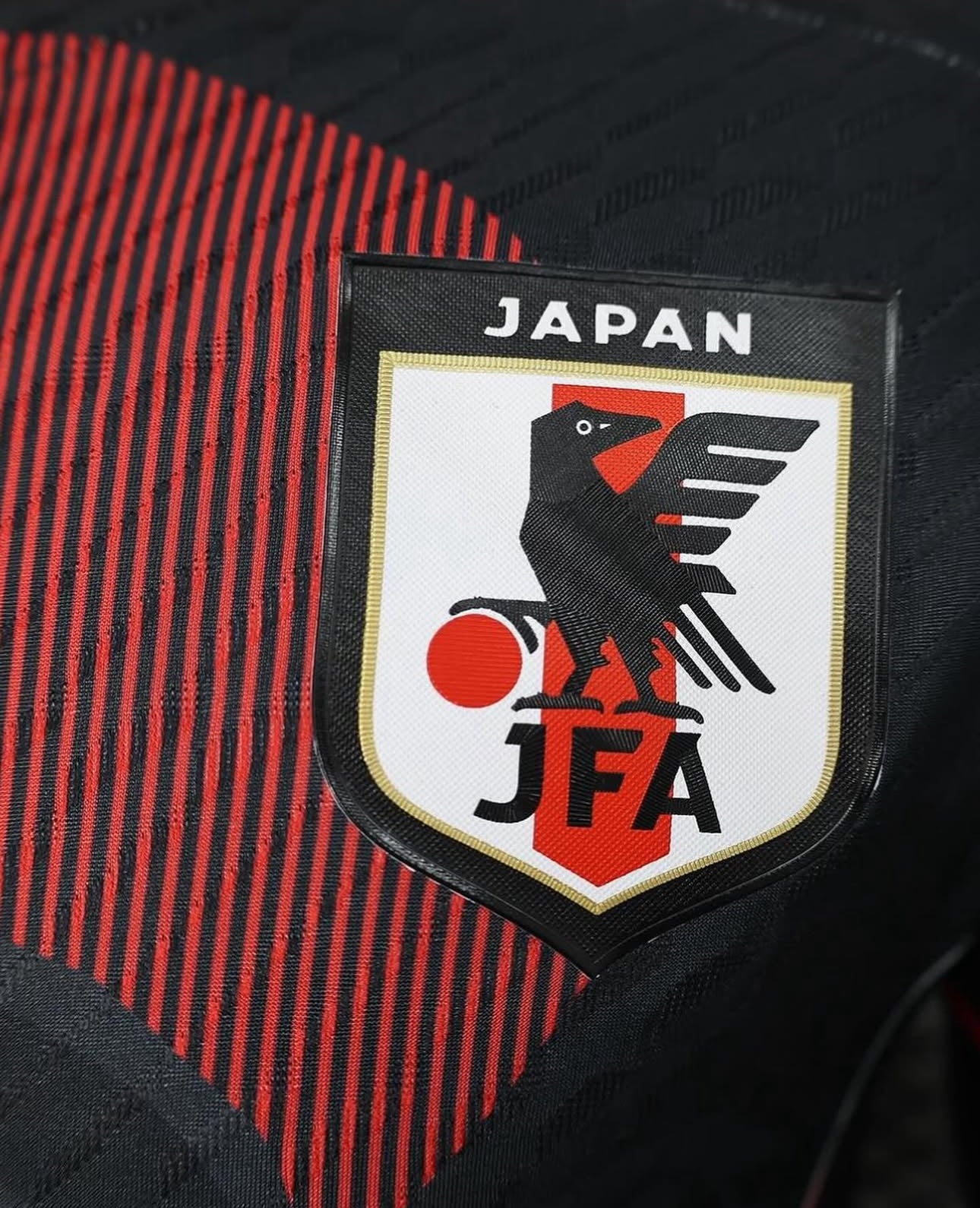 Japan Special Jersey