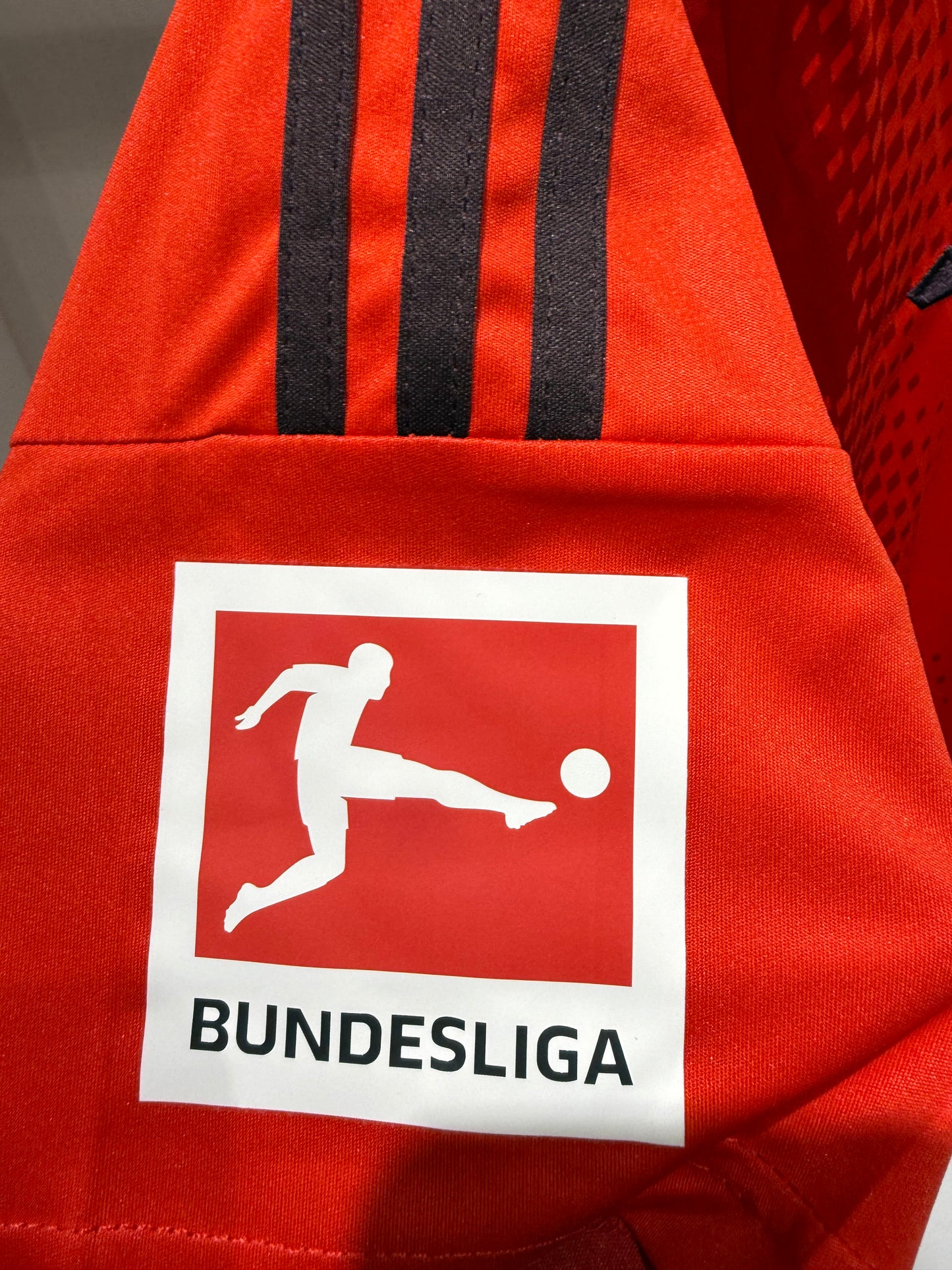 Bayern Münich, Sezona 2024/2025, Domaći Dres