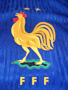 Francuska Domaći Dres - Griezmann 7