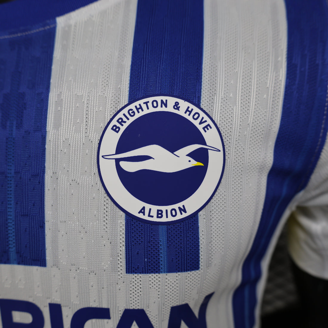 Brighton, Season 2024/2025, Home Jersey