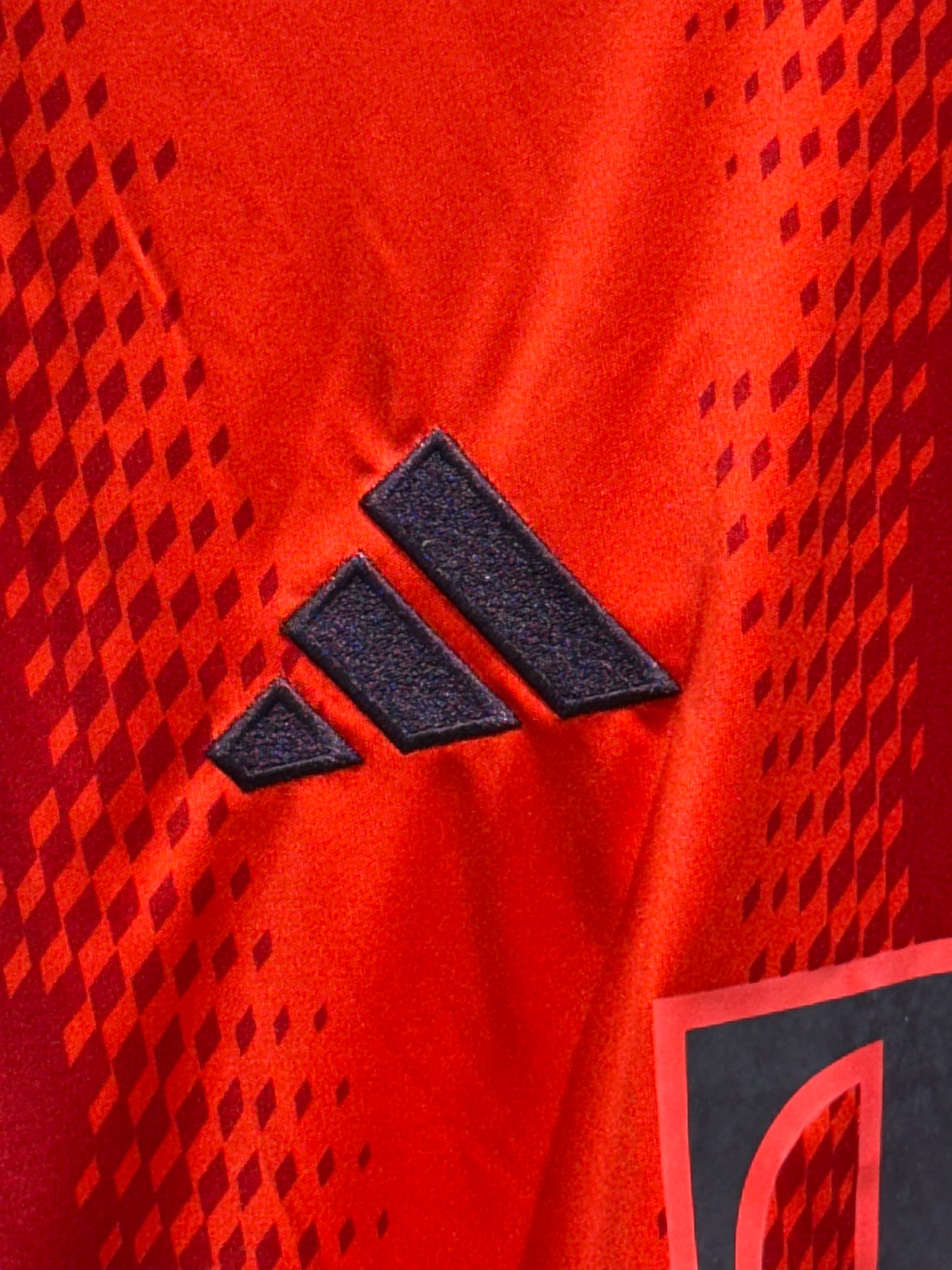 Bayern Münich, Sezona 2024/2025, Domaći Dres