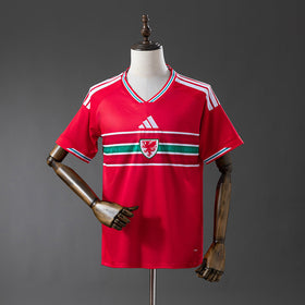 WALES 26
